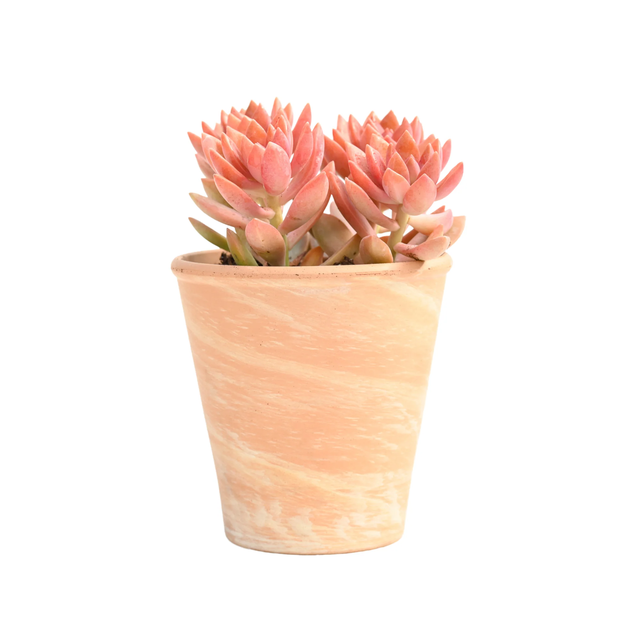 New Products